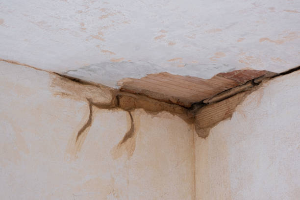 Best Ceiling water damage repair  in Sharon, PA