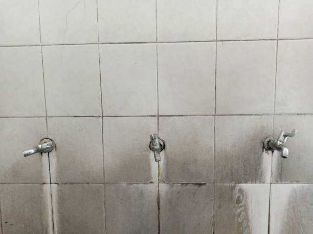 Best Carpet water damage restoration  in Sharon, PA