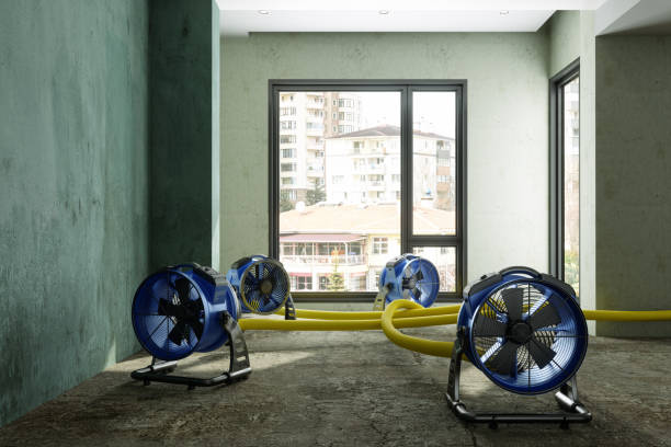 Best Water damage restoration insurance claims  in Sharon, PA